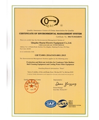 Environmental management system certificate (English)