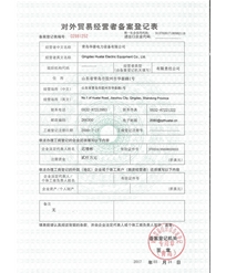 Registration form for the record of foreign trade operators