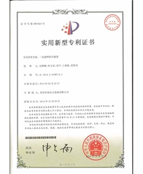 Secondary filter drain device