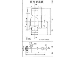 Feed water pump inlet screen