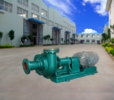 Rubber ball pump